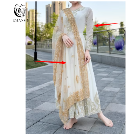 Indian Traditional Clothing Wo - Salwar Kameez Set 评论和价格